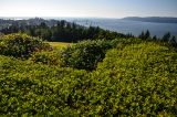 201108111808-AJS_7219.jpg